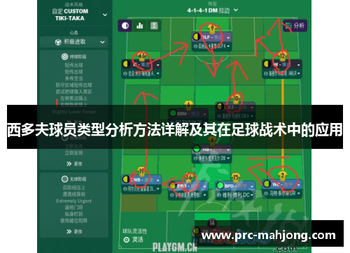 西多夫球员类型分析方法详解及其在足球战术中的应用 西多夫球员类型分析方法详解及其在足球战术中的应用
