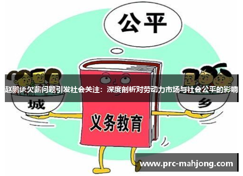 赵鹏谈欠薪问题引发社会关注：深度剖析对劳动力市场与社会公平的影响