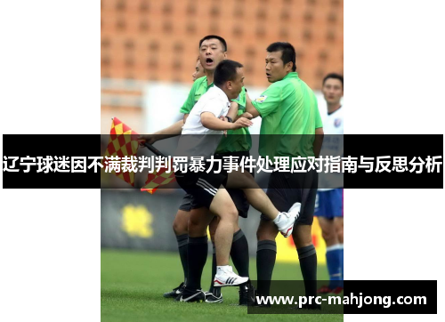 辽宁球迷因不满裁判判罚暴力事件处理应对指南与反思分析