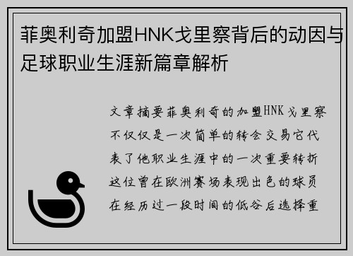 菲奥利奇加盟HNK戈里察背后的动因与足球职业生涯新篇章解析