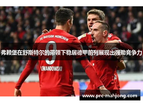 弗赖堡在舒斯特尔的带领下稳居德甲前列展现出强劲竞争力