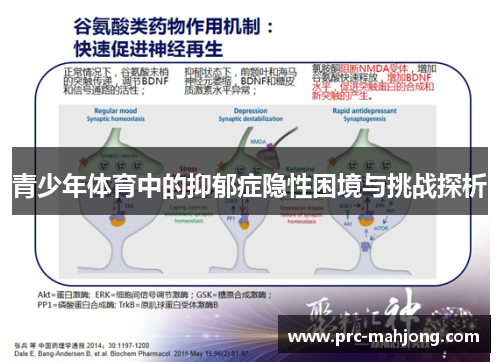 青少年体育中的抑郁症隐性困境与挑战探析 青少年体育中的抑郁症隐性困境与挑战探析