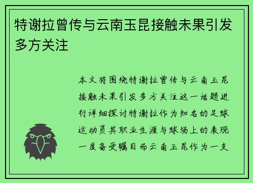 特谢拉曾传与云南玉昆接触未果引发多方关注